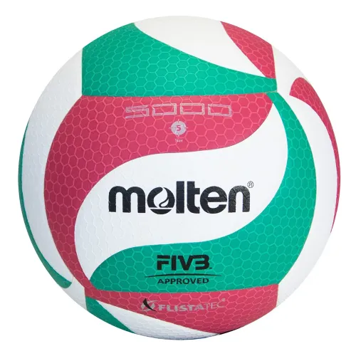 Molten V5M5000 FIVB Onaylı Yapıştırma 5 No Voleybol Maç Topu